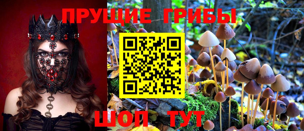 Галлюциногенные грибы MAGIC MUSHROOMS Воронеж