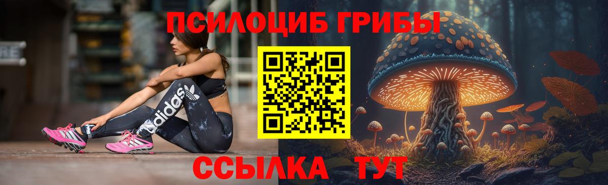 Воронеж  Псилоцибиновые грибы Cubensis  Вход с VPN 